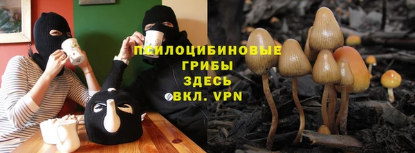 ешки Надым