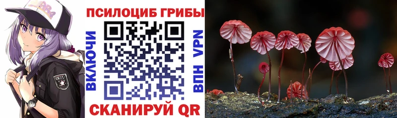 Псилоцибиновые грибы GOLDEN TEACHER  Мурино 